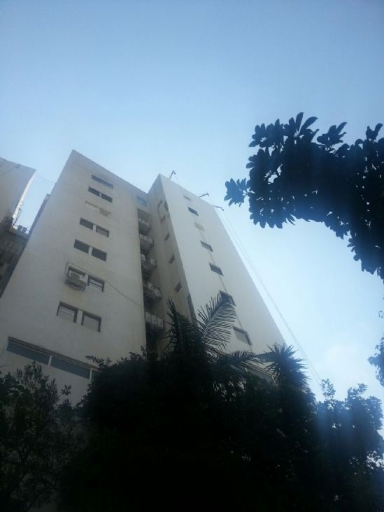 התקנת רשתות להרחקת יונים מבניין ברחוב הרצוג 10 בתל אביב