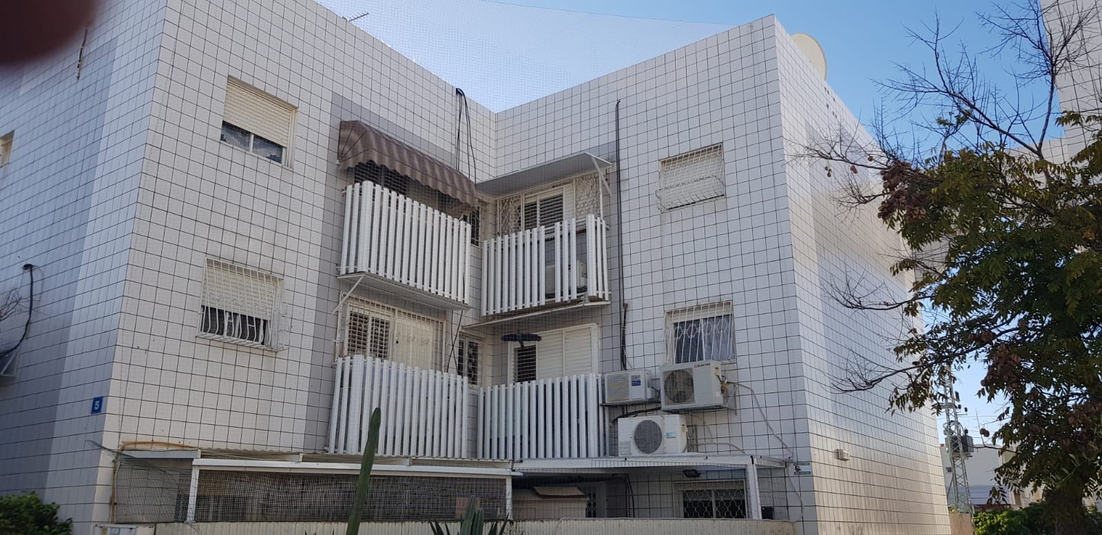 הרחקת יונים מבניין באשדוד