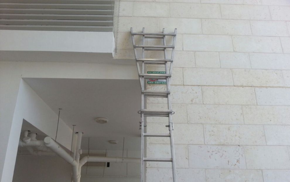 הרחקת יונים ברחובות - חזון איש 4/6