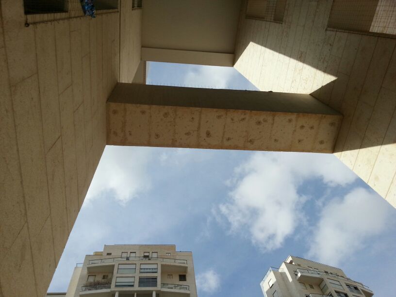הרחקת יונים ברחובות - רחוב הכרמל
