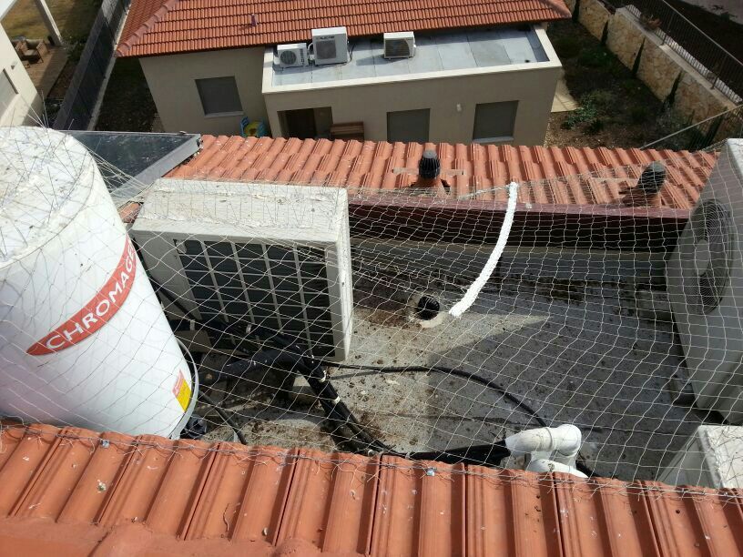 התקנת רשת להרחקת יונים על גג בית בקיבוץ הסוללים